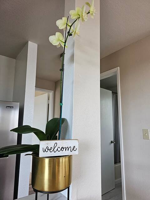 Furnished Finder property 883133_1 photo 9