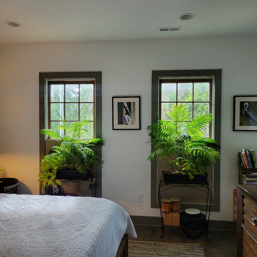 Front of house upstair windows in Pelican King Suite. Shades pull up or down, and are completely light blocking when closed. This bedroom is Western facing.