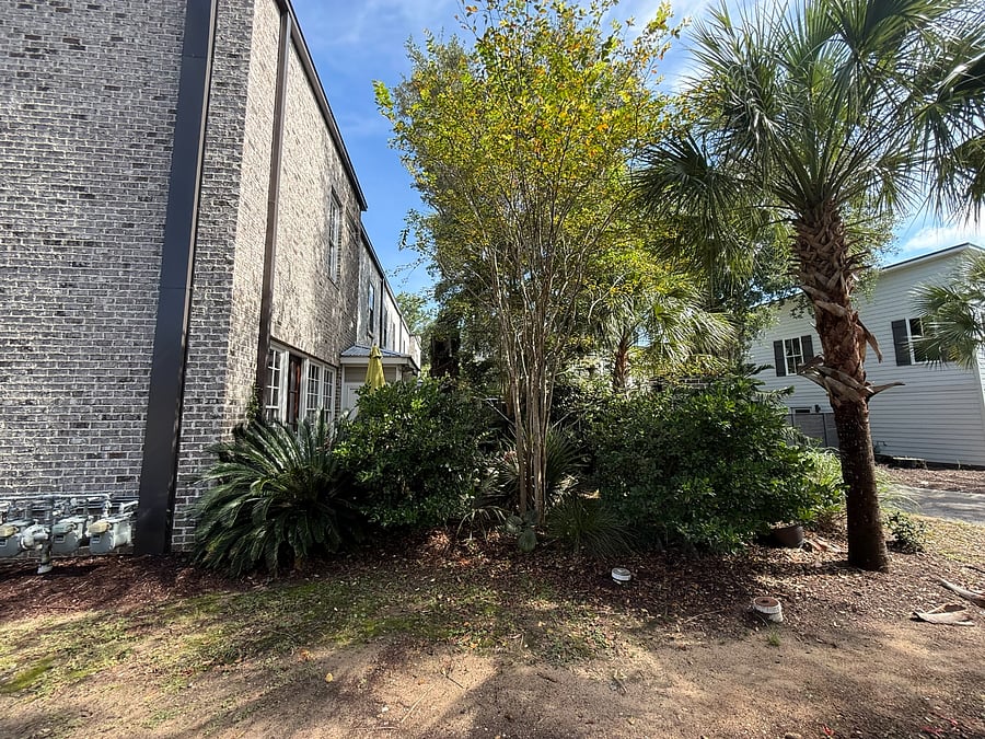 View of patio from side yard.  You can't even see it!  It's so private and tropical back there.