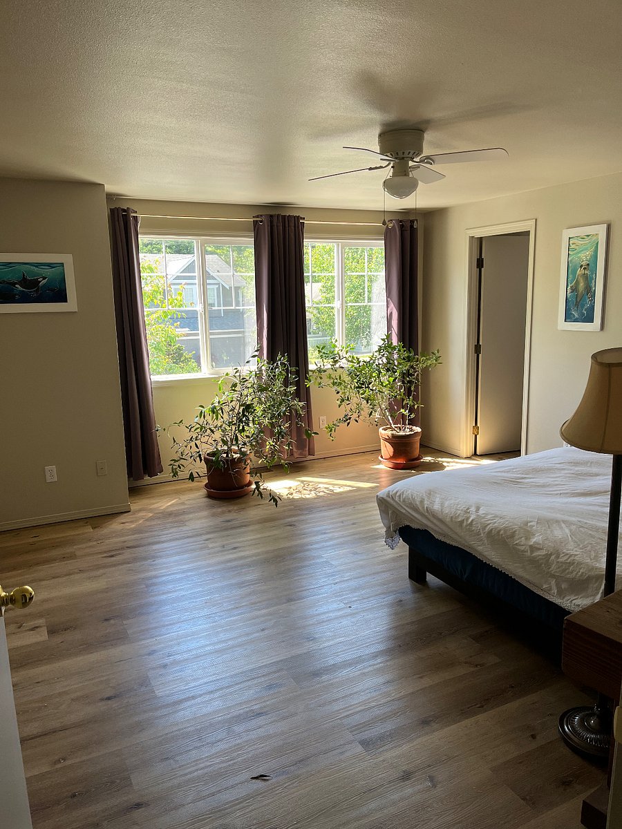 Furnished Finder property 883165_1 photo 11