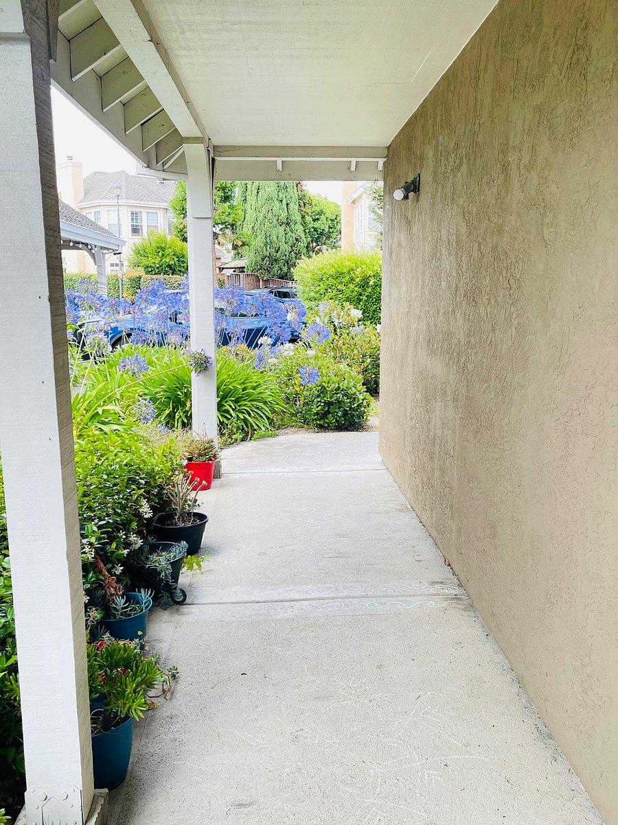 Furnished Finder property 883169_1 photo 6