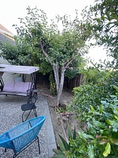 Furnished Finder property 883169_1 photo 12