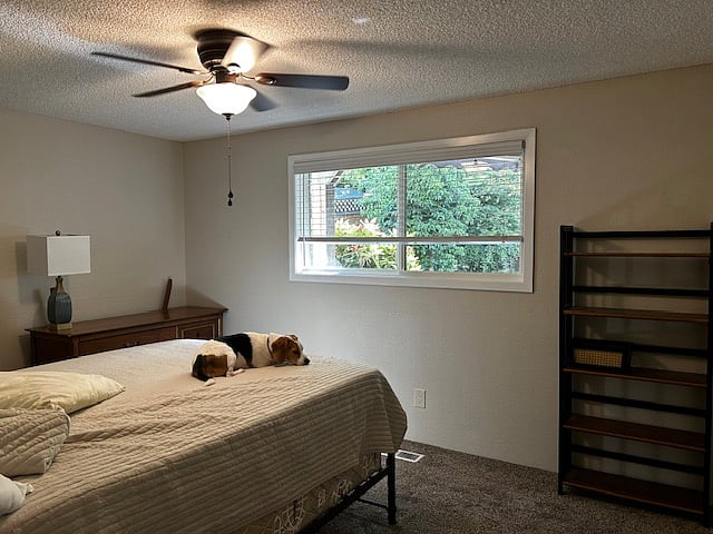 Furnished Finder property 883206_1 photo 8