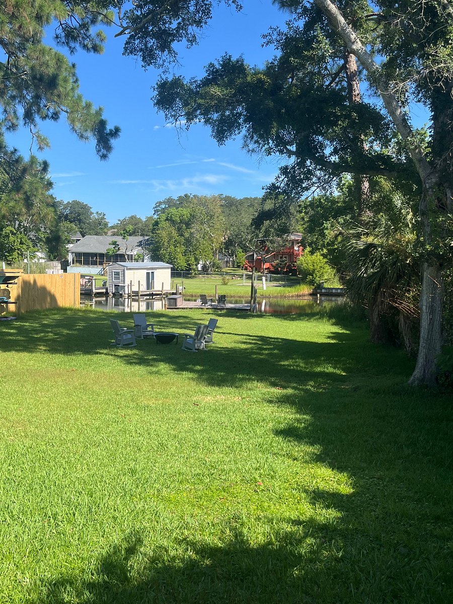 Back yard
