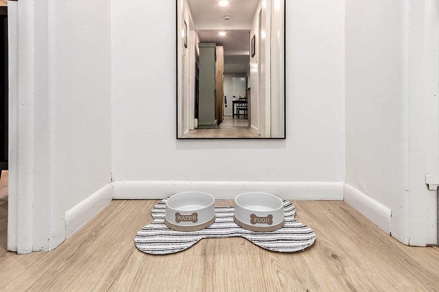 Pet-Friendly Touches- Adorable food and water bowls with bone-shaped mat for your pup, plus a full-length mirror. Equipped for two and four legged guests. 