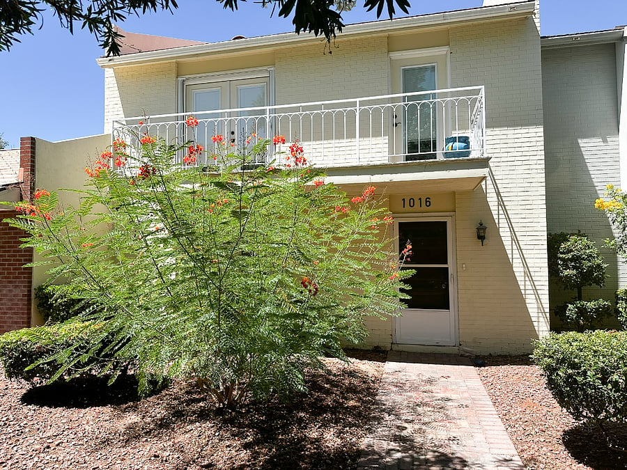 Furnished Finder property 883479_1 photo 21