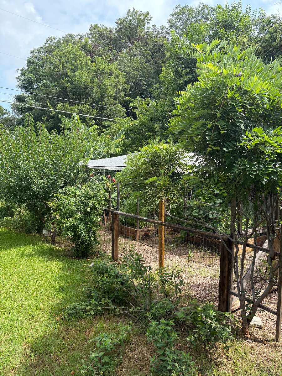 Lush garden offers peace and tranquility to be enjoyed from screened in porch.