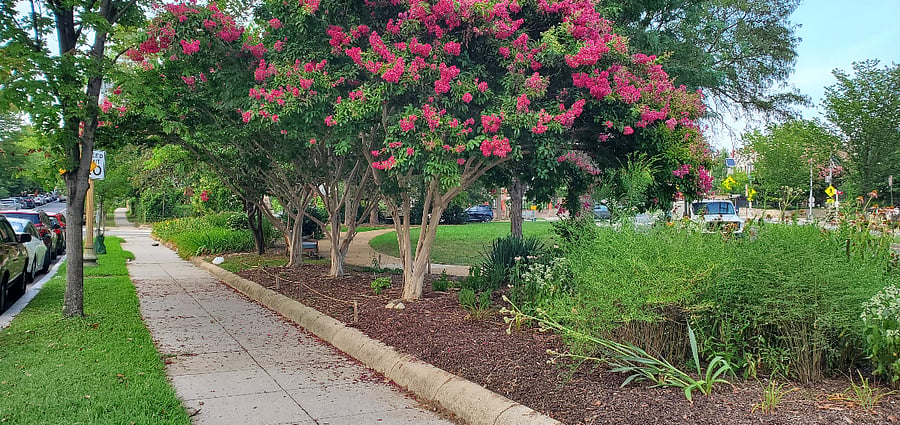 Pretty park right across the street from the house (which also has a bus stop)