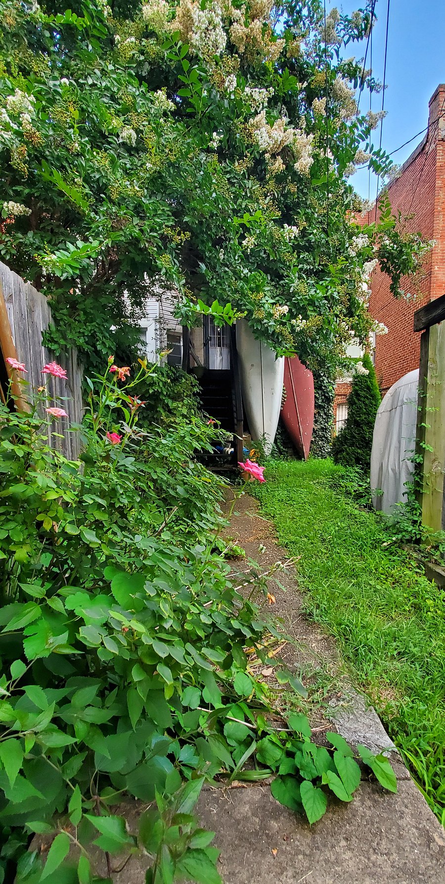 Back yard. Also has a small grassy area that you can't really see in this photo.