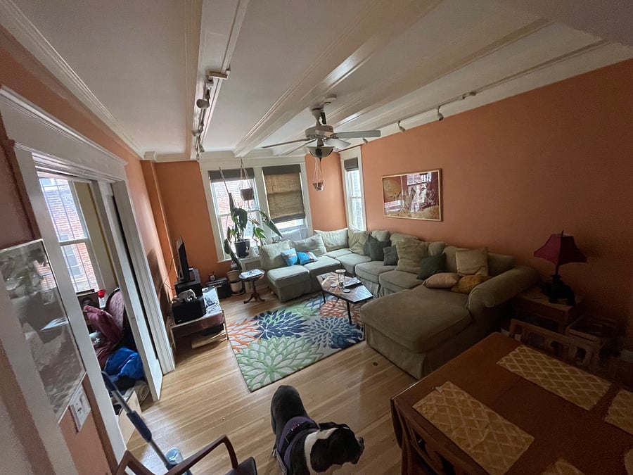 Living & dining room