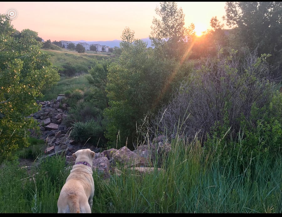 nearby trail
