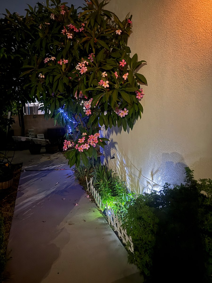 Furnished Finder property 883758_1 photo 22