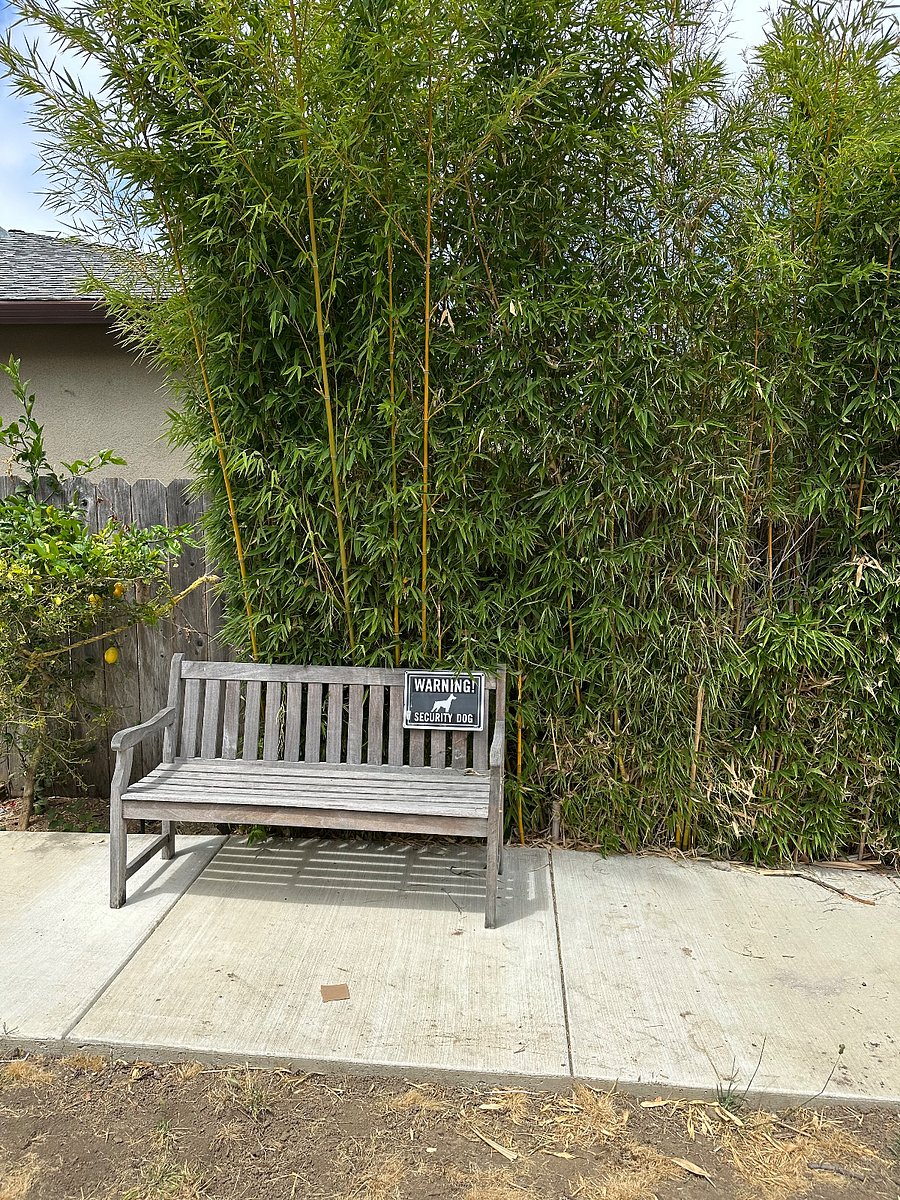 Furnished Finder property 883898_1 photo 23