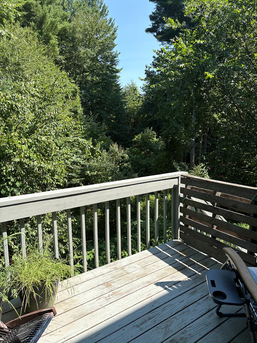 Furnished Finder property 883902_1 photo 7