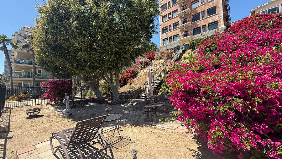 Private beachside patio, above stairs is another private patio area