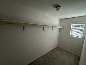 Furnished Finder property 883936_1 photo 14
