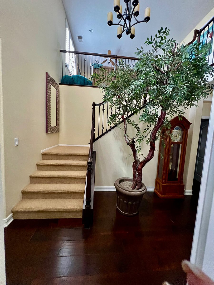 Furnished Finder property 883963_1 photo 4