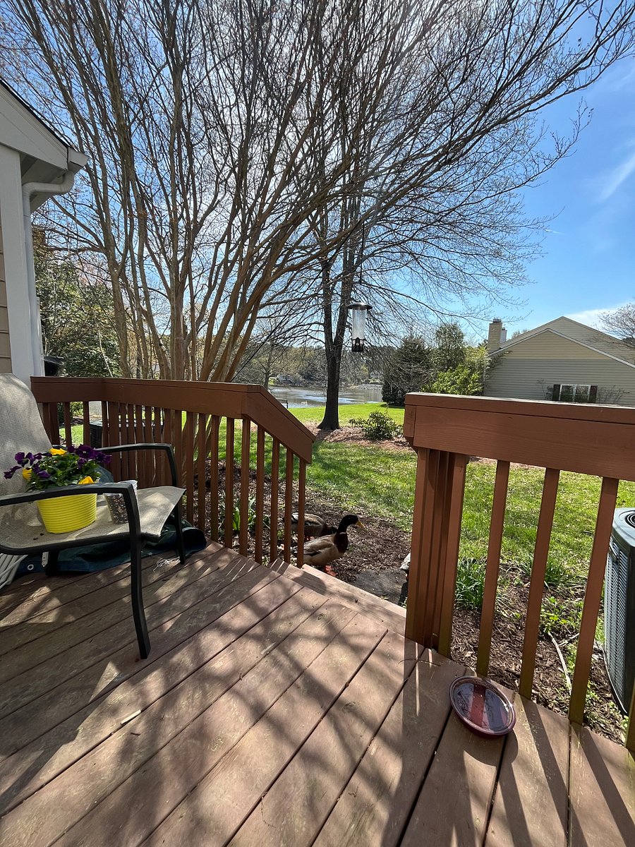 Furnished Finder property 883994_1 photo 11