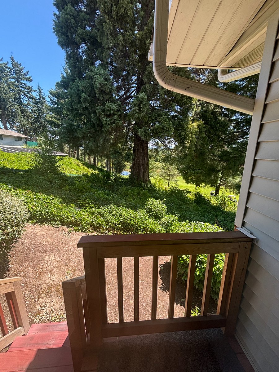 Furnished Finder property 884024_1 photo 16
