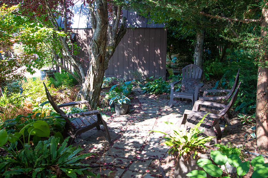 Furnished Finder property 884056_1 photo 22
