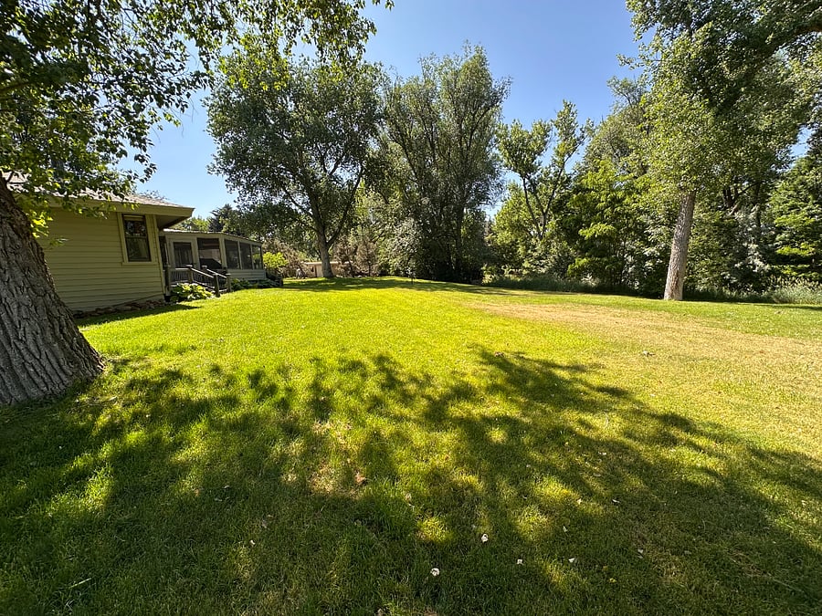 spacious yard with old cottonwood trees and creek running alongside property border