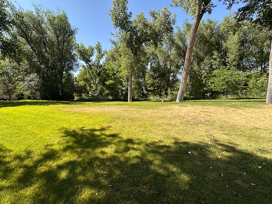 spacious yard with old cottonwood trees and creek running alongside property border