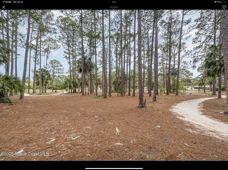 Furnished Finder property 884299_1 photo 17