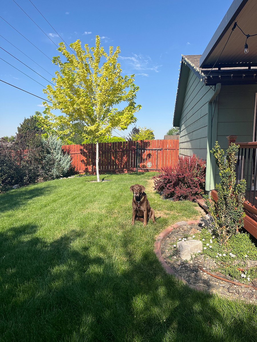 Furnished Finder property 884307_1 photo 14