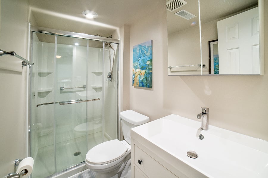 Master bath (double head shower)