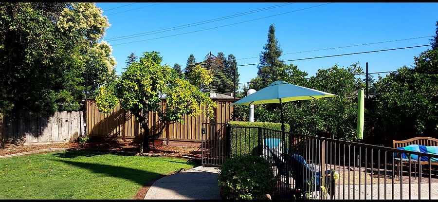 Furnished Finder property 884573_1 photo 23