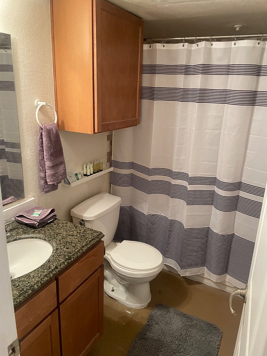 Furnished Finder property 884610_1 photo 17