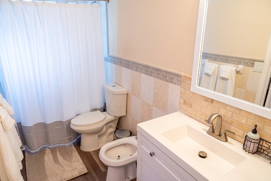 Main bathroom with bidet
