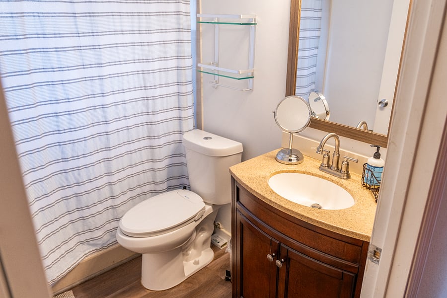 Guest bathroom