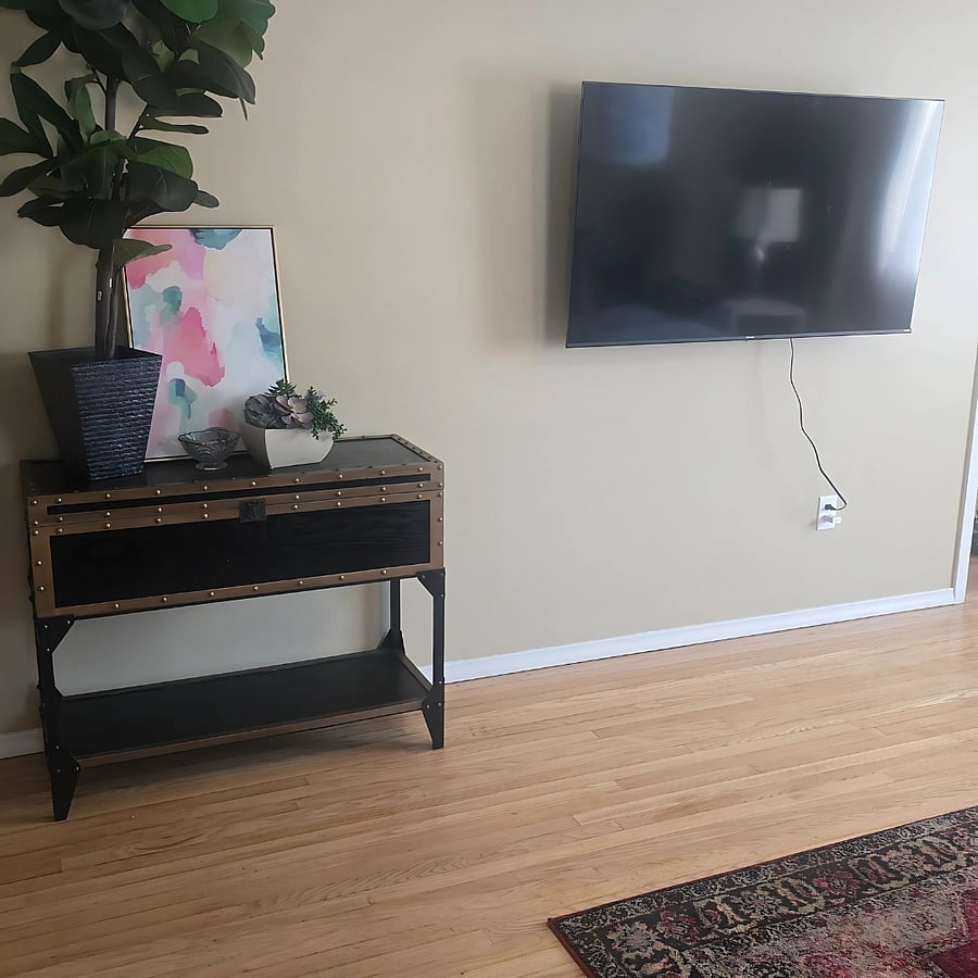 large Smart TV living room