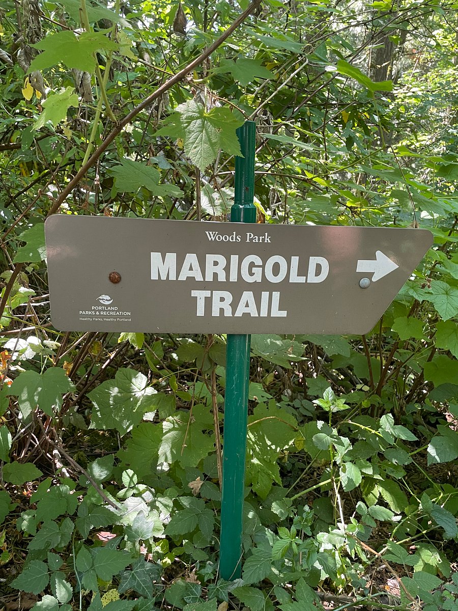 At the start of a gorgeous network of wooded trails at the end of our street mins away! 