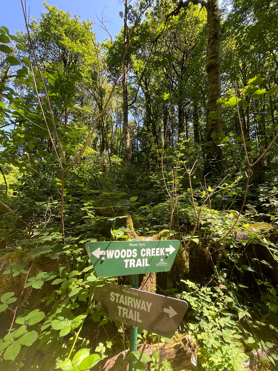 You can walk through the woods to access groceries, pharmacy, and other amenities. A special treat! 