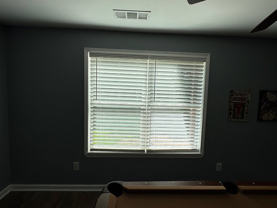 Tree-line View