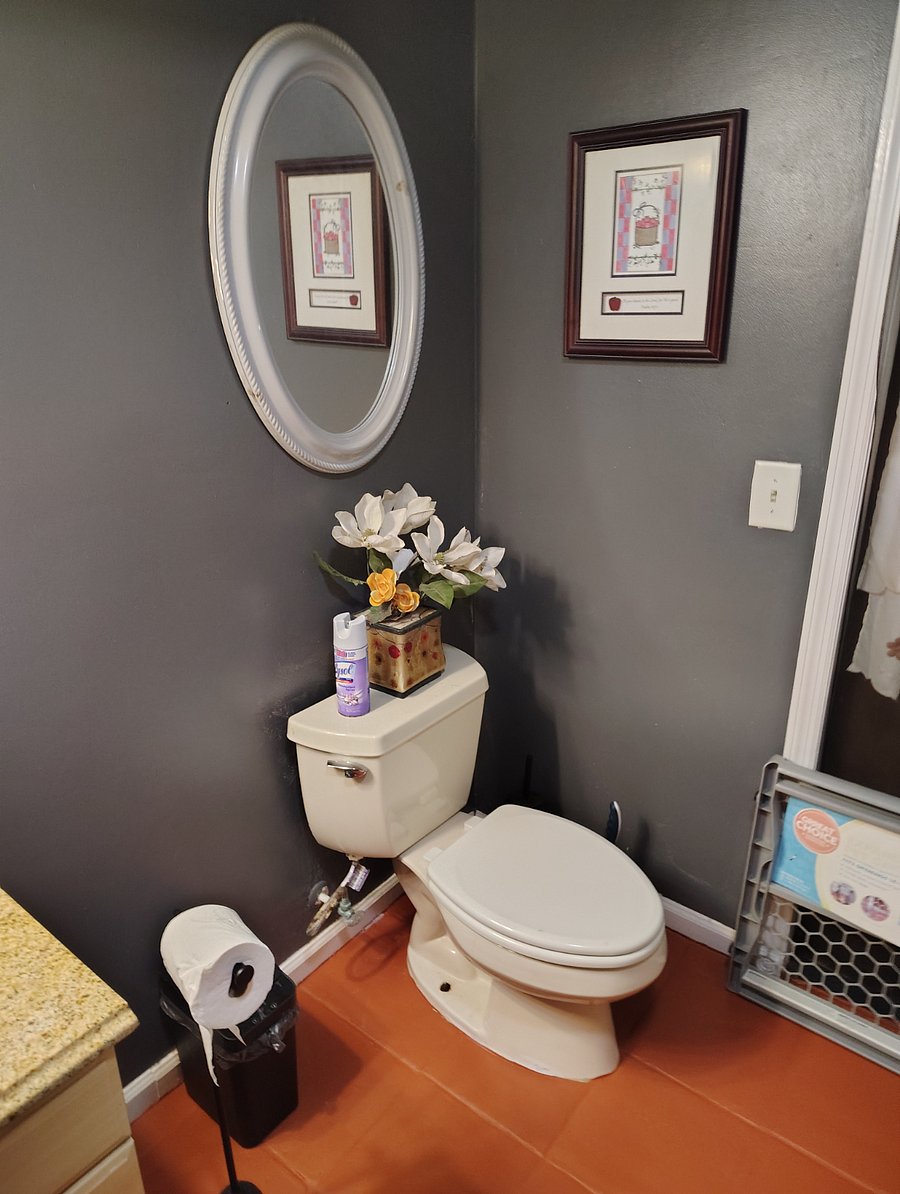 Furnished Finder property 884812_2 photo 3