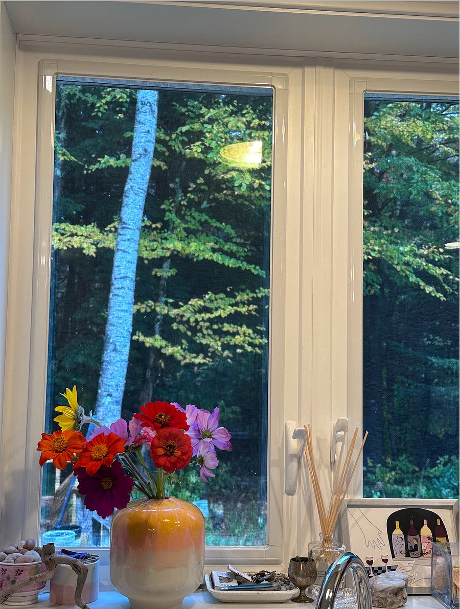 Kitchen windows