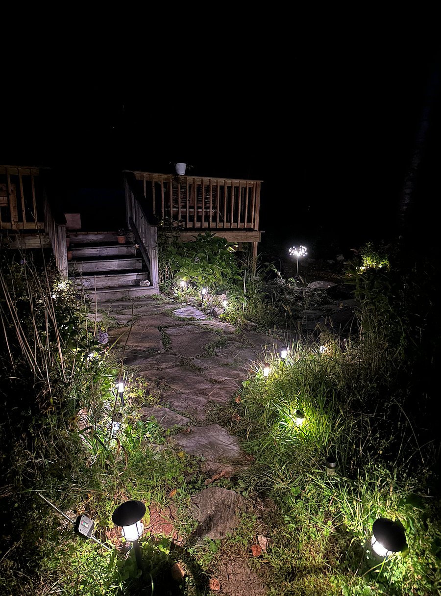 Back deck steps
