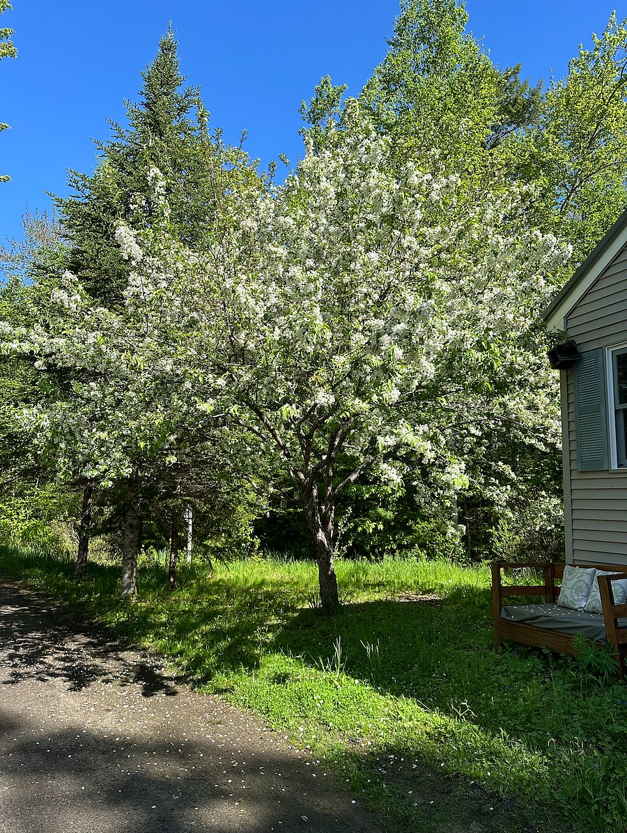 Front door area 