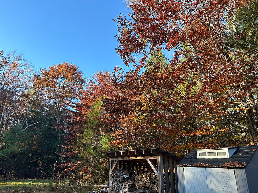 Driveway area 