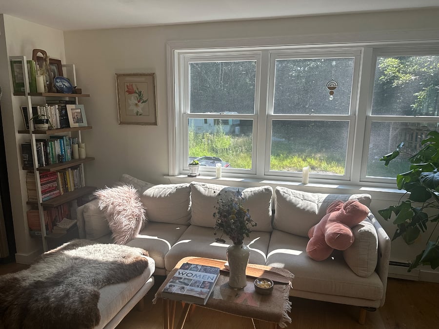 Living room couch