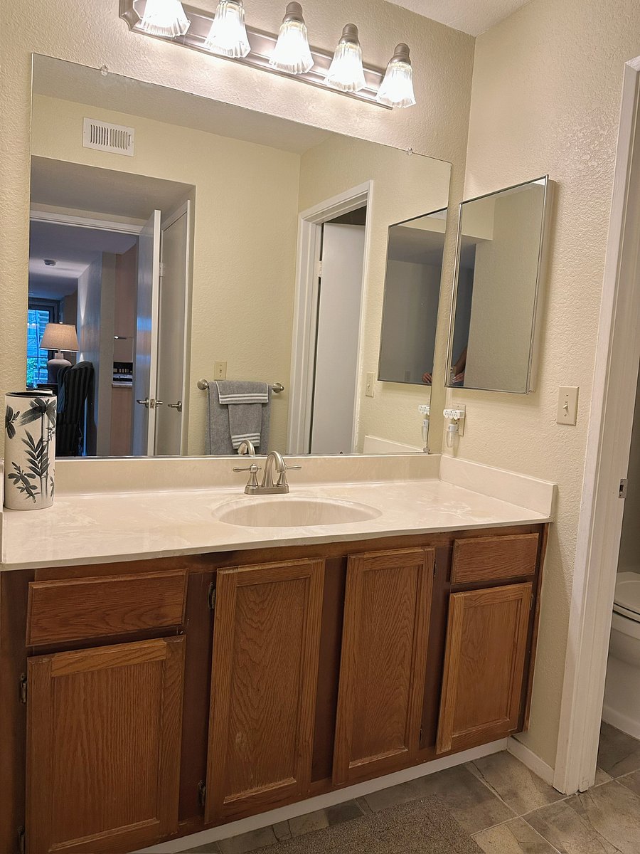Master Bathroom Vanity