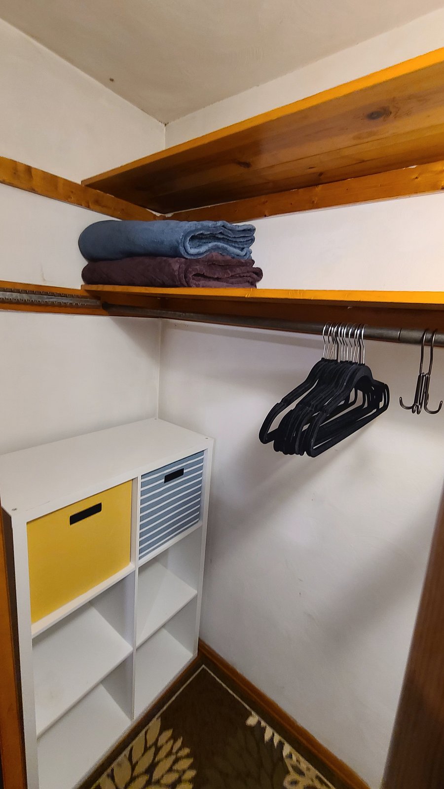 Closet in 1st floor bedroom