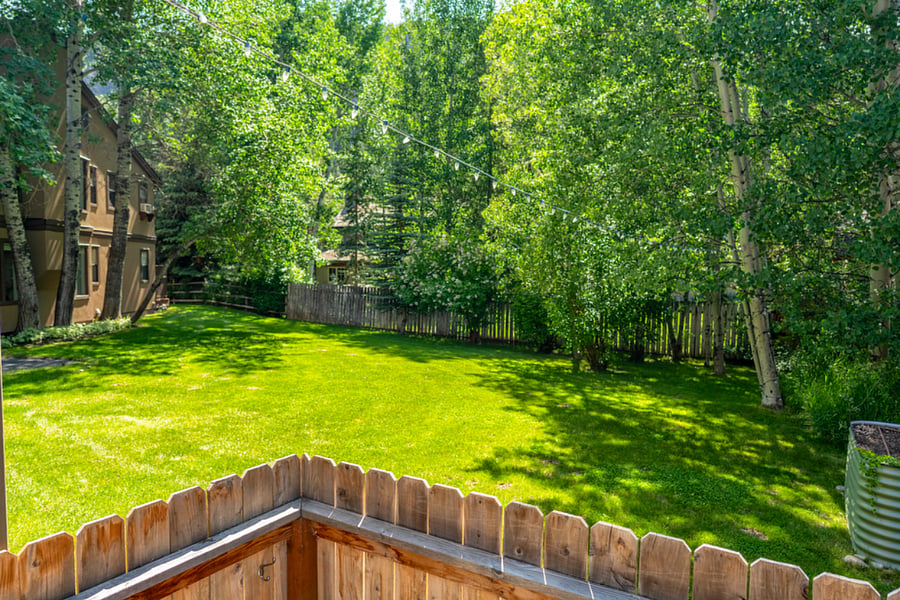Large yard with gate to private patio