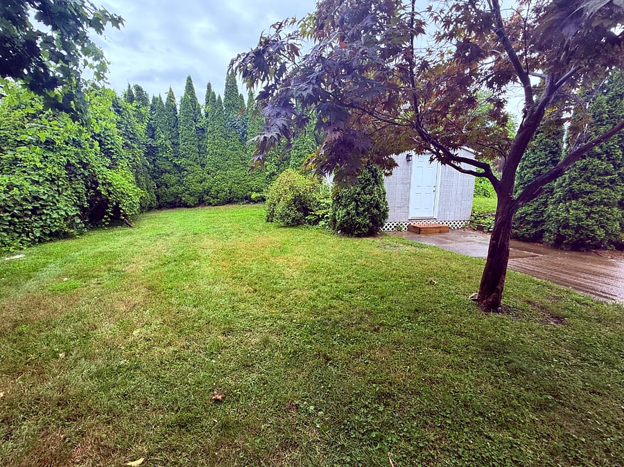 Furnished Finder property 885170_1 photo 14