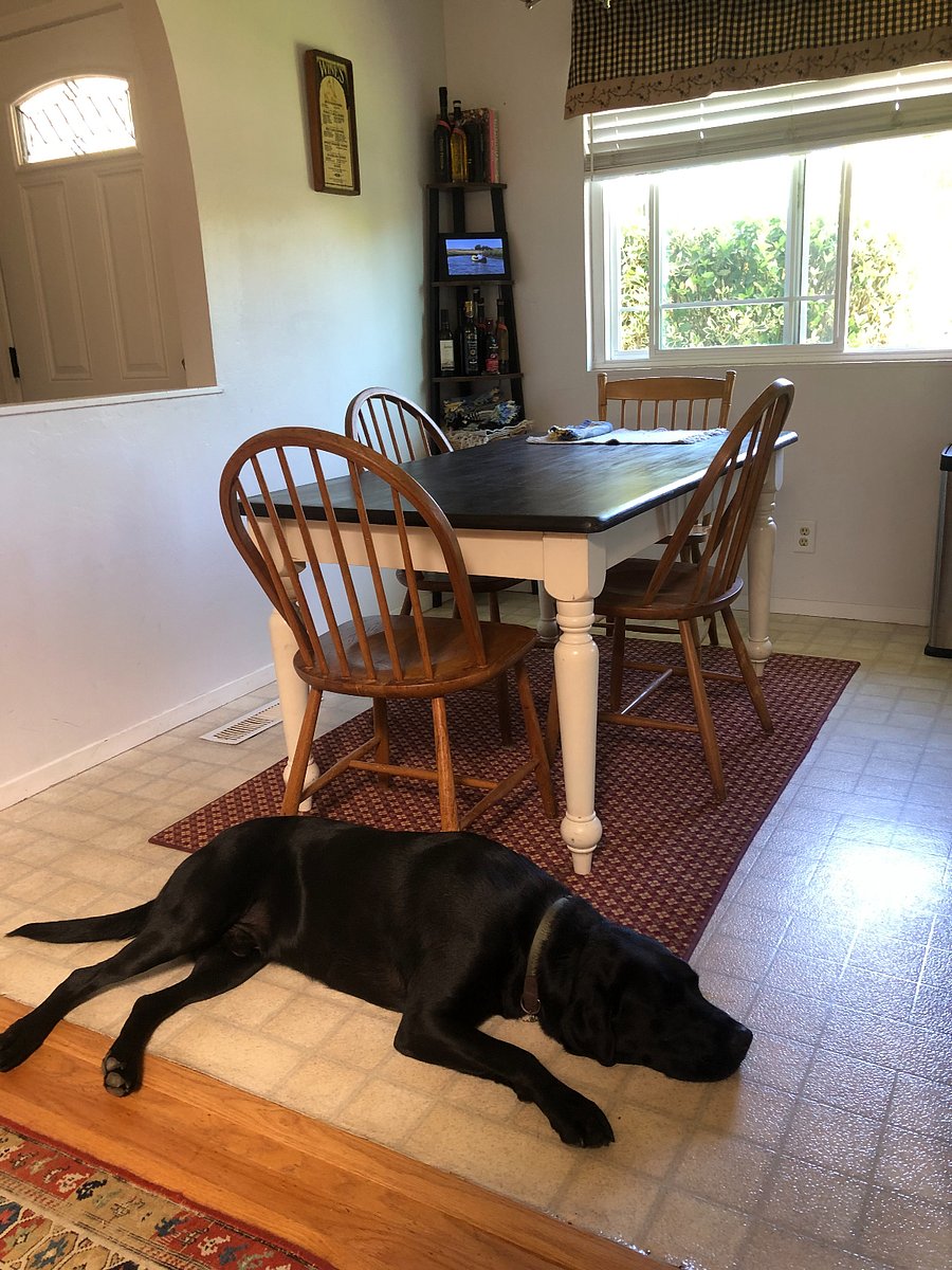 Dining area. Dog (Colby) not allowed beyond that point