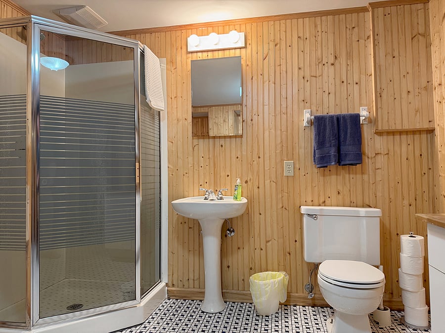 Basement Bathroom Area