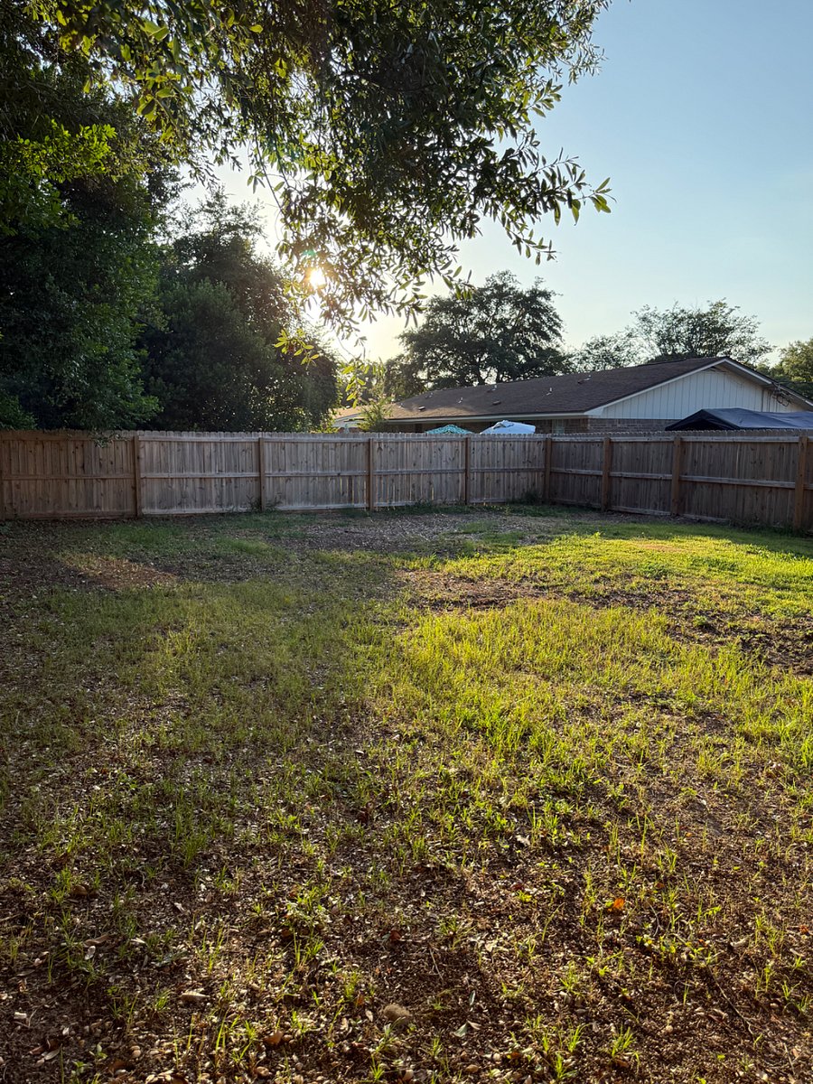 Furnished Finder property 885460_1 photo 15